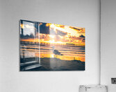 San Diego 12 Acrylic Print