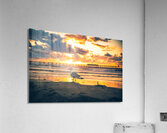 San Diego 11 Acrylic Print