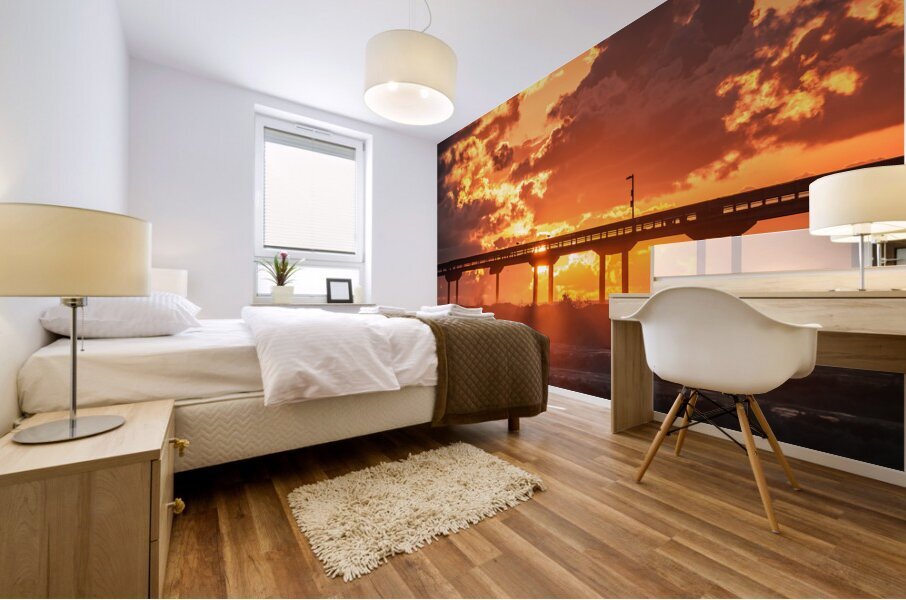 San Diego 5 Mural print