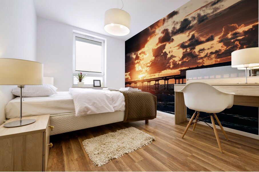 San Diego 3 Mural print