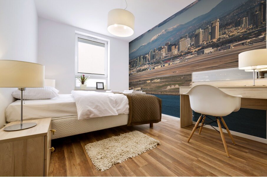 San Diego 8 Mural print