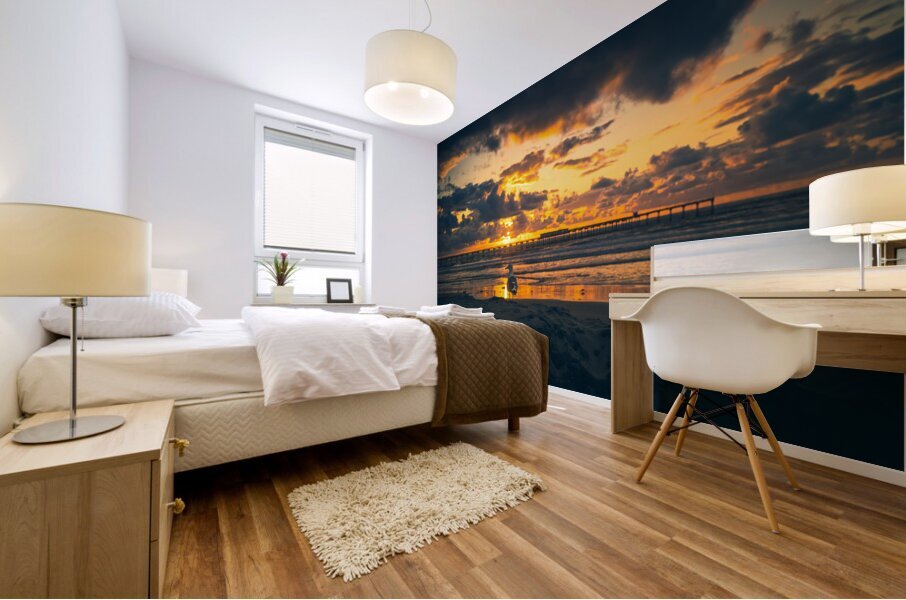 San Diego 9 Mural print