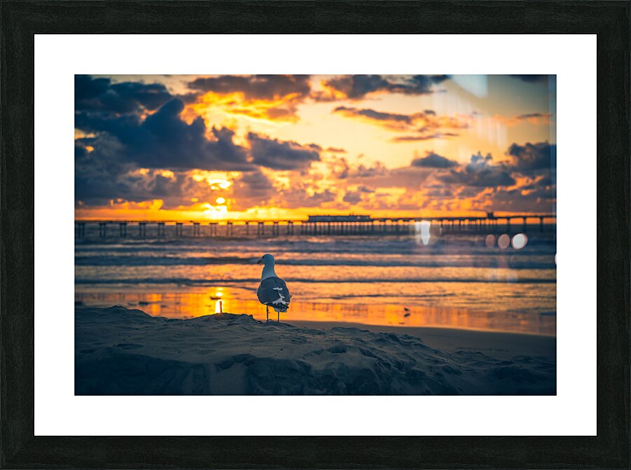 San Diego 10 Picture Frame print
