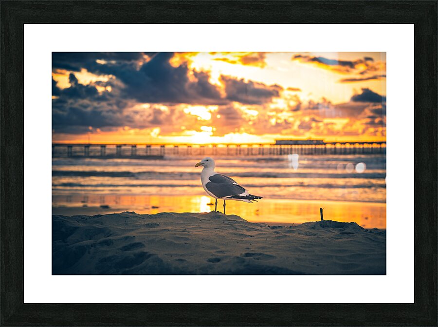 San Diego 12 Picture Frame print