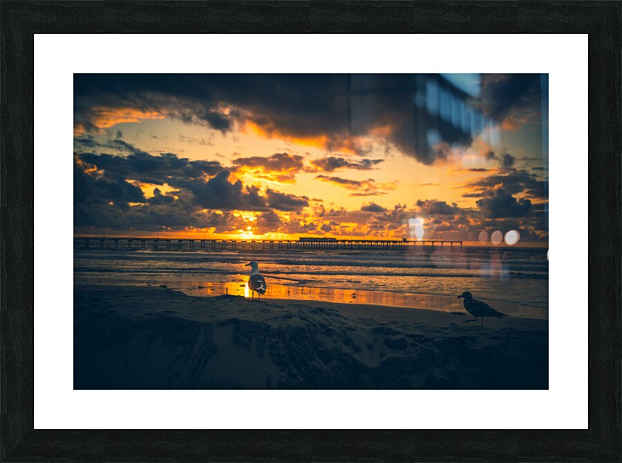 San Diego 9 Picture Frame print