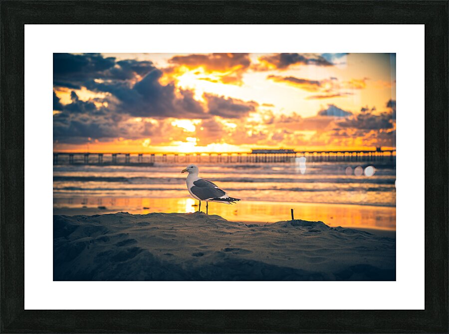 San Diego 11 Picture Frame print