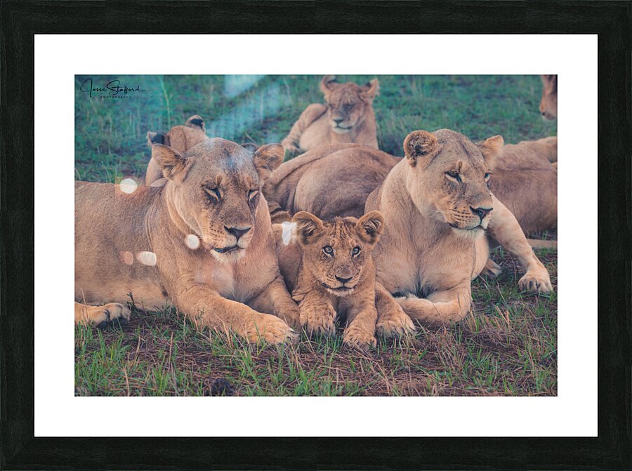 Family Picture Frame print