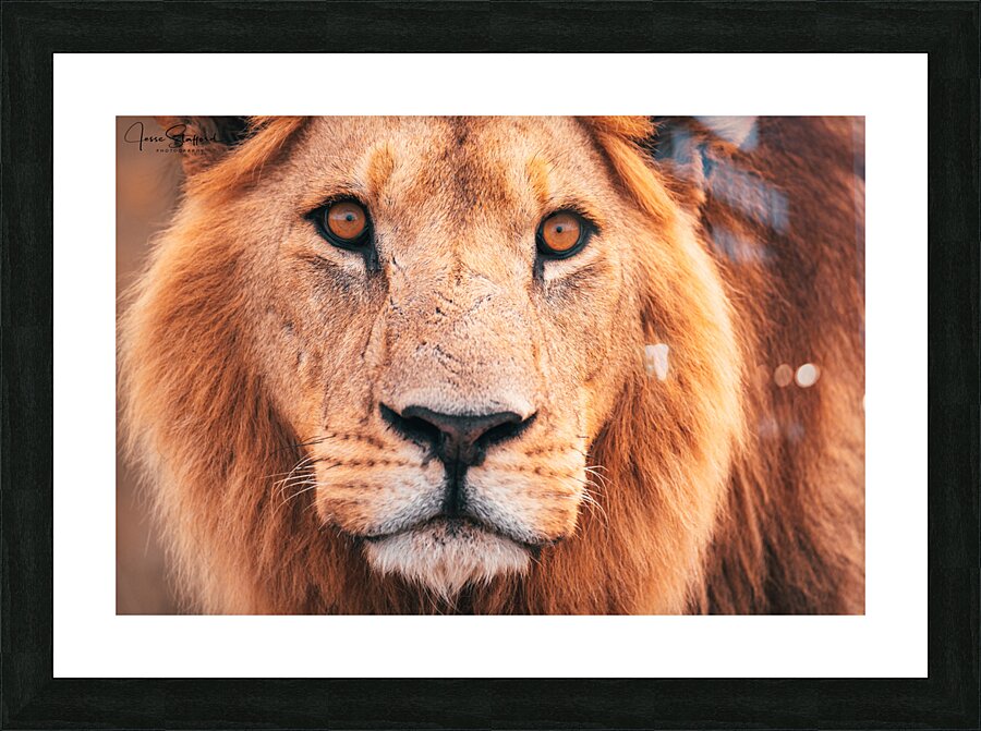 My Closeup Picture Frame print