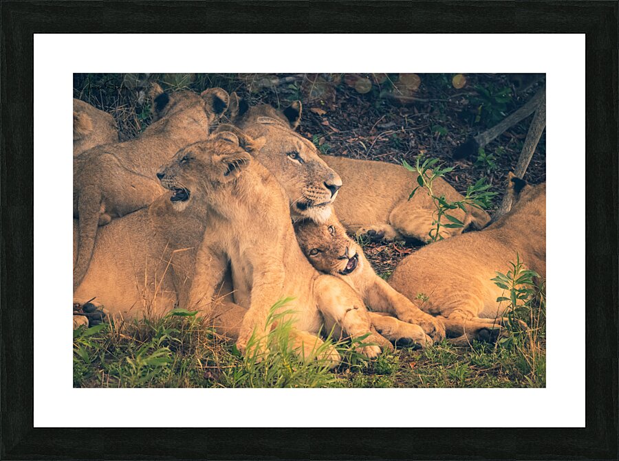 Mothers love Picture Frame print