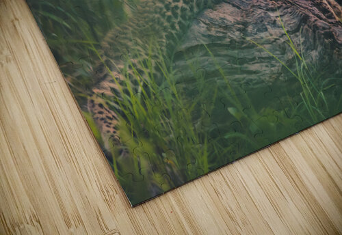 Baby Leopard J Stafford Photos puzzle