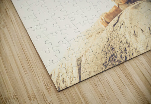 Bob Jr J Stafford Photos puzzle