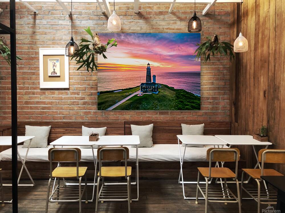Montauk Reproduction