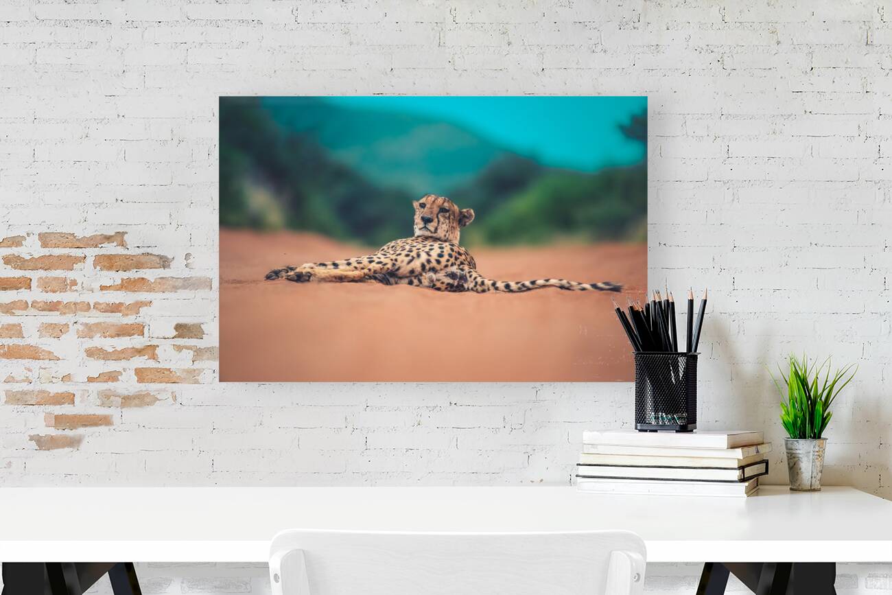 Cheetah lowdown Reproduction