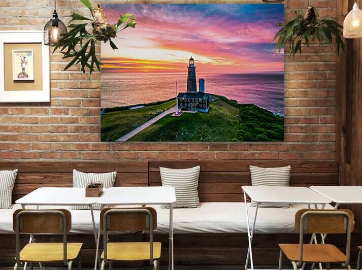 Montauk Reproduction