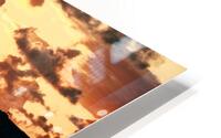 San Diego 4 HD Metal print
