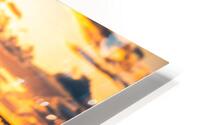 San Diego 12 HD Metal print