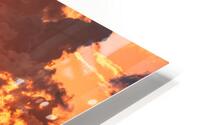 San Diego 5 HD Metal print