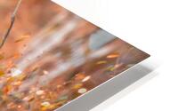 Look this way HD Metal print