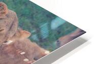 Family HD Metal print