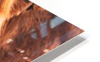 My Closeup HD Metal print