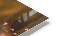 Orange Leopard HD Metal print