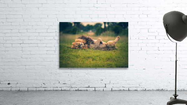 Lazy Sunday Wall Preview