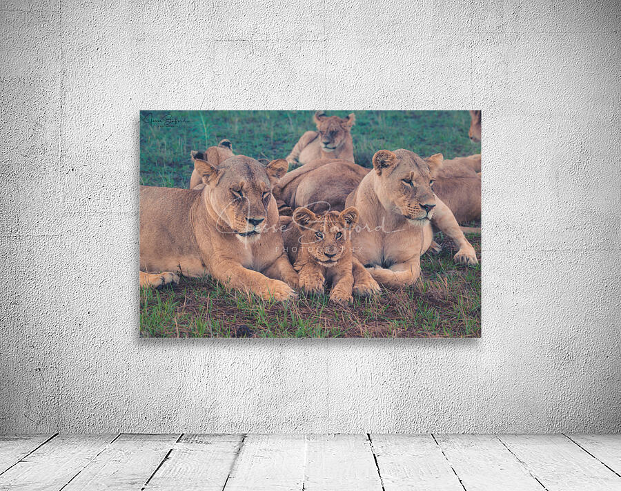 Family Wall Preview