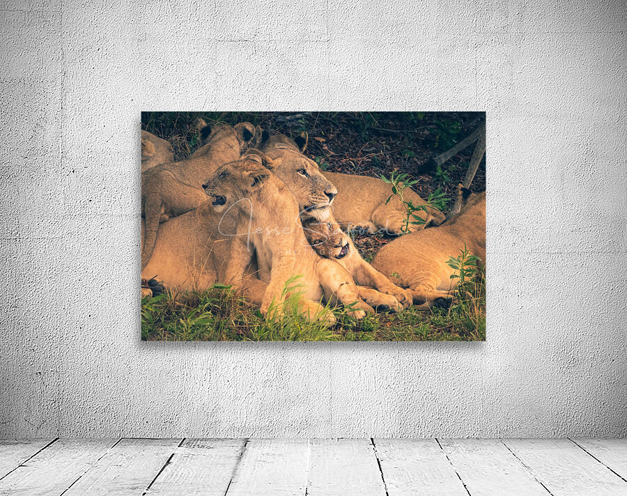 Mothers love Wall Preview