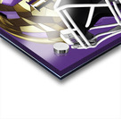 L S U 3D Acrylic print