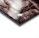 EVIL LIVES HERE.  WIDESCREEN SEPIA  Acrylic print