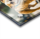 BORN TO SKATE V Acrylic print