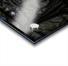 CHRISTMAS IN THE SWAMP Acrylic print