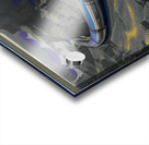 THE GORGE .....SELECTIVE COLORING Acrylic print