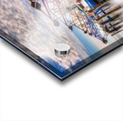 SKIMMERS Acrylic print