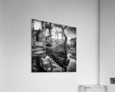 RECALMATION Acrylic Print