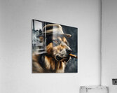 TOP DOG Acrylic Print