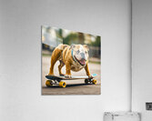 BORN TO SKATE V Acrylic Print