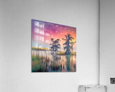 NEON SWAMP Acrylic Print
