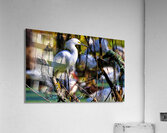 SNOWY EGRET Acrylic Print