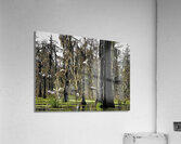 ROOKERY Acrylic Print