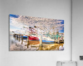 SKIMMERS Acrylic Print