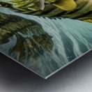 REFLECTION Metal print