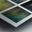 BITTER COLD CROSSING Metal print