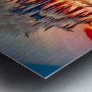 FLOATER......VELVET ABSTRACT Metal print