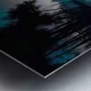 TROT LINE......SELECTIVE COLORING  Metal print