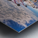 SKIMMERS Metal print