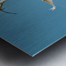 PERFECT BALANCE Metal print