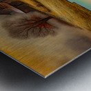 COUNTRY FARMS Metal print