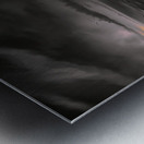 DAYS LAST LIGHT Metal print