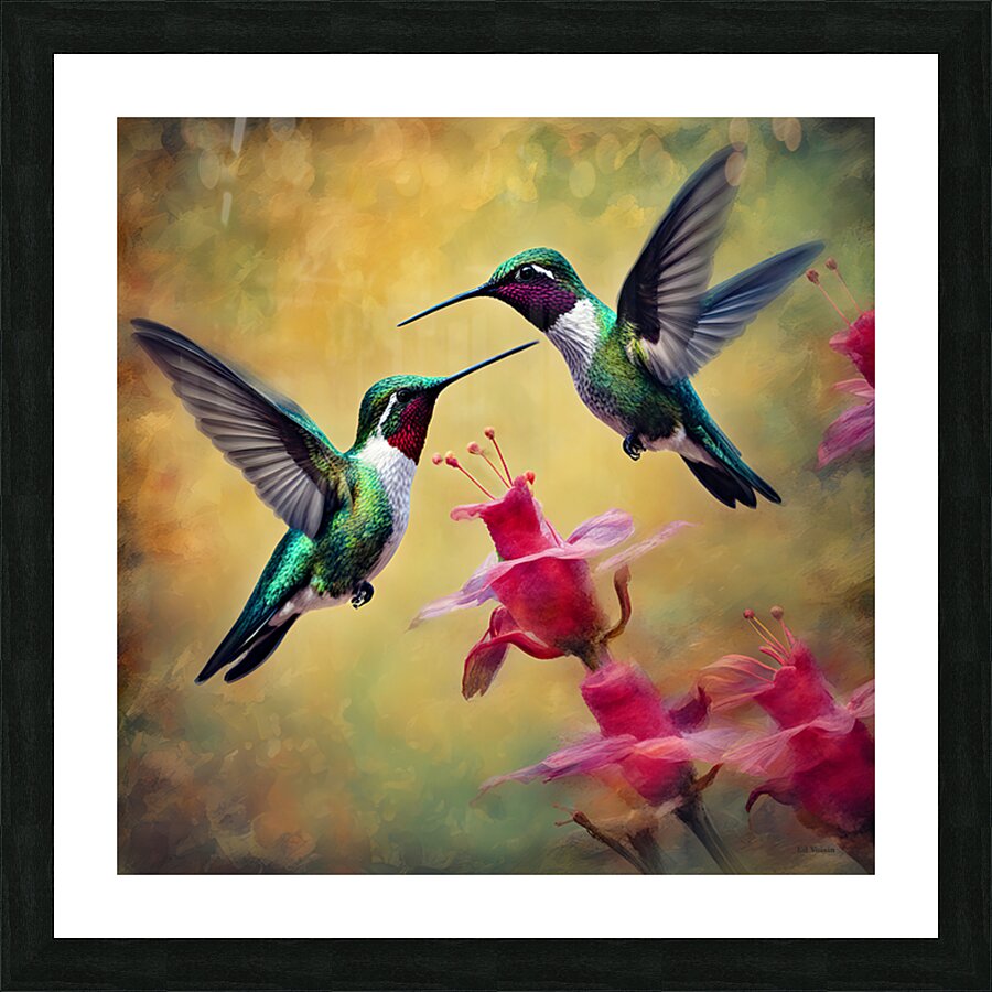 HUMMINGBIRDS Picture Frame print